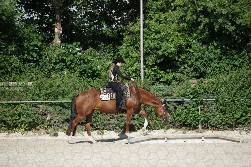 s_APF06752.jpg